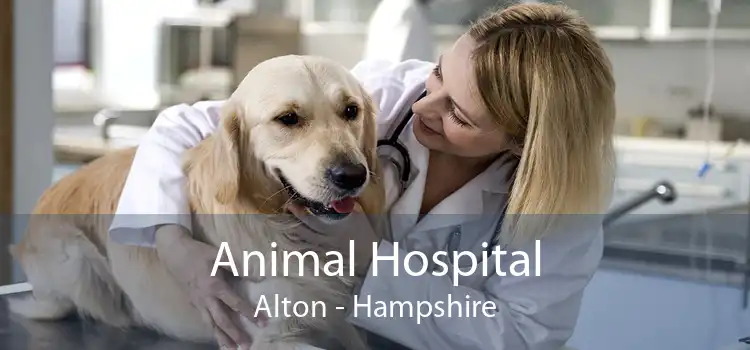 Animal Hospital Alton - Hampshire