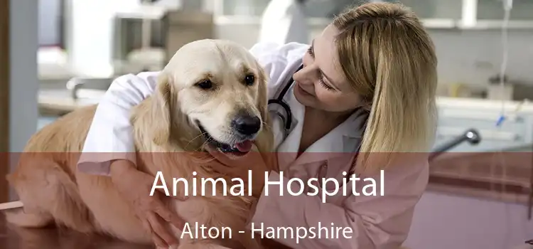 Animal Hospital Alton - Hampshire