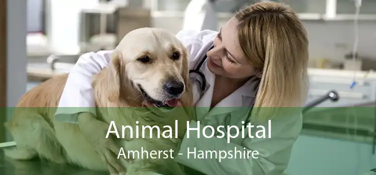 Animal Hospital Amherst - Hampshire