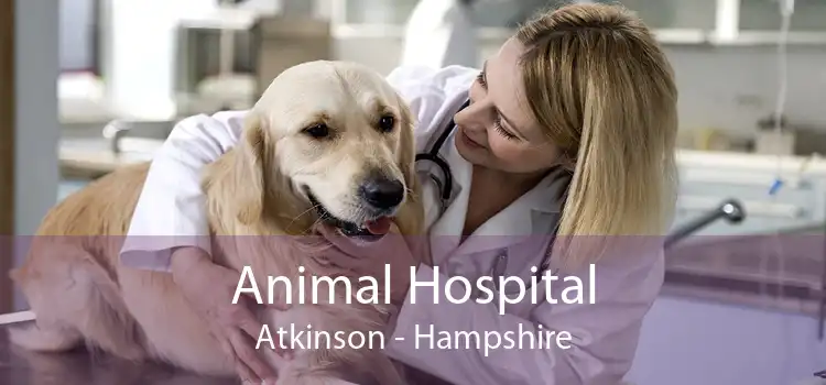 Animal Hospital Atkinson - Hampshire