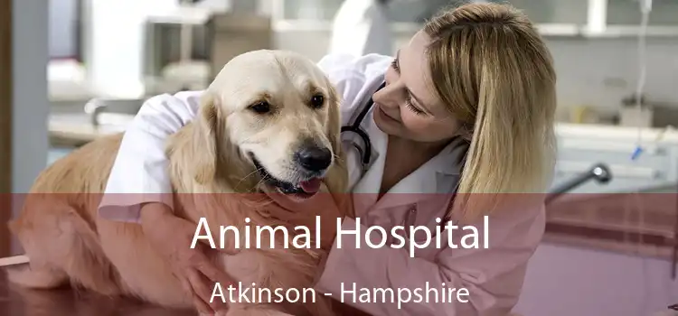 Animal Hospital Atkinson - Hampshire