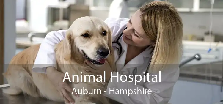 Animal Hospital Auburn - Hampshire