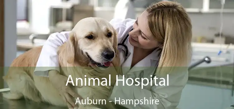 Animal Hospital Auburn - Hampshire