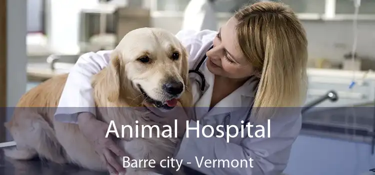 Animal Hospital Barre city - Vermont