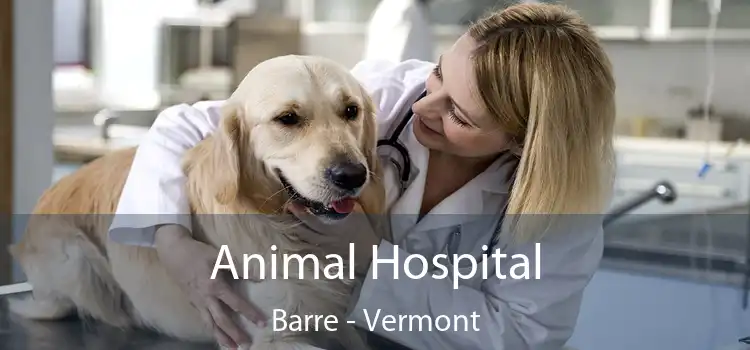 Animal Hospital Barre - Vermont