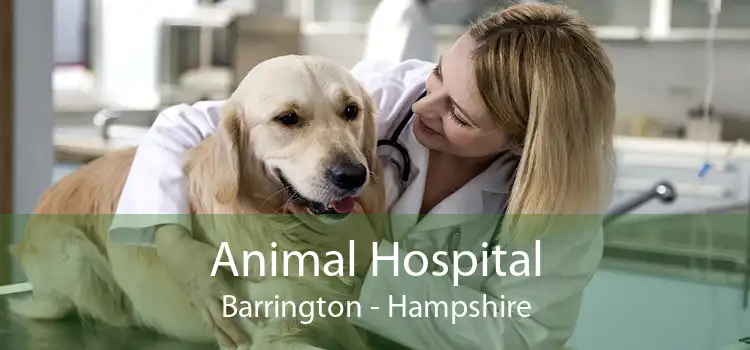 Animal Hospital Barrington - Hampshire