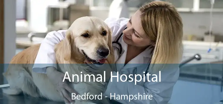 Animal Hospital Bedford - Hampshire