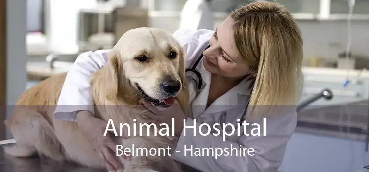 Animal Hospital Belmont - Hampshire
