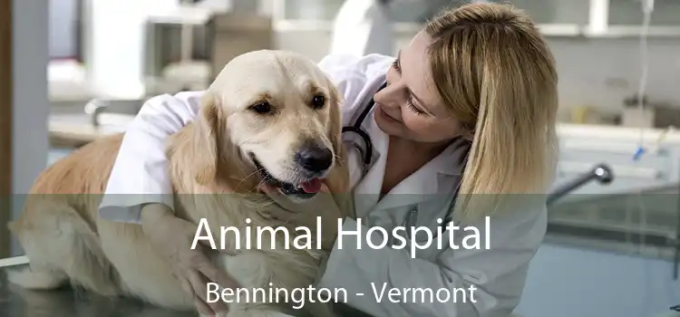 Animal Hospital Bennington - Vermont