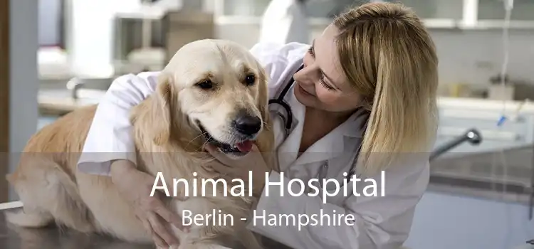 Animal Hospital Berlin - Hampshire
