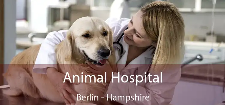 Animal Hospital Berlin - Hampshire