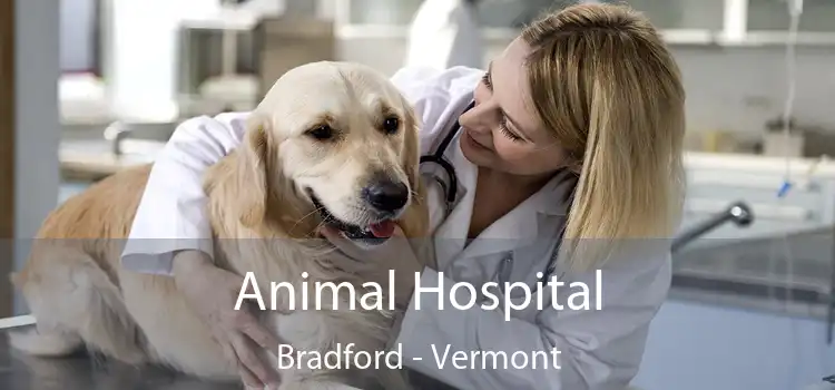 Animal Hospital Bradford - Vermont