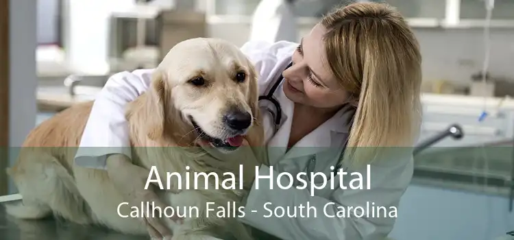 Animal Hospital Callhoun Falls - South Carolina