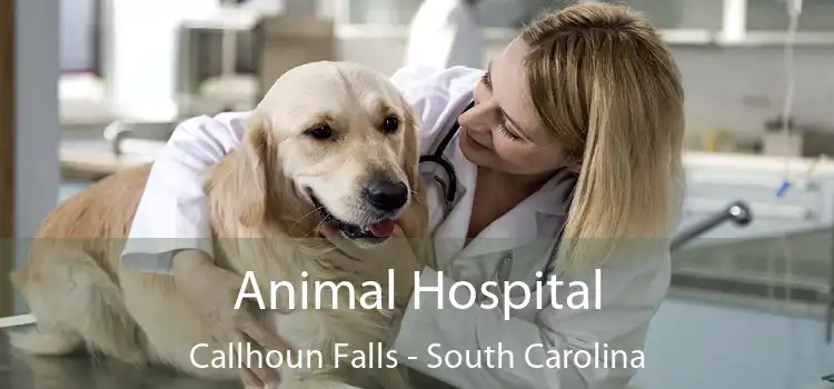 Animal Hospital Callhoun Falls - South Carolina