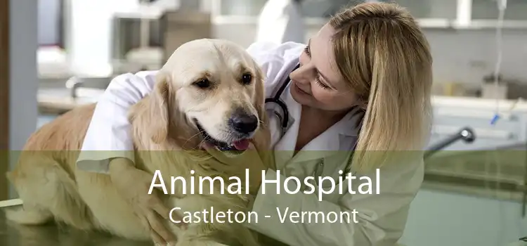 Animal Hospital Castleton - Vermont