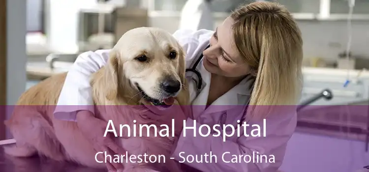 Animal Hospital Charleston - South Carolina