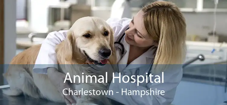 Animal Hospital Charlestown - Hampshire