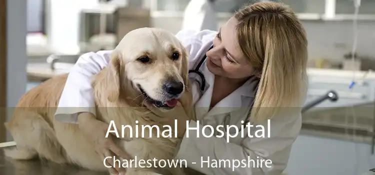 Animal Hospital Charlestown - Hampshire