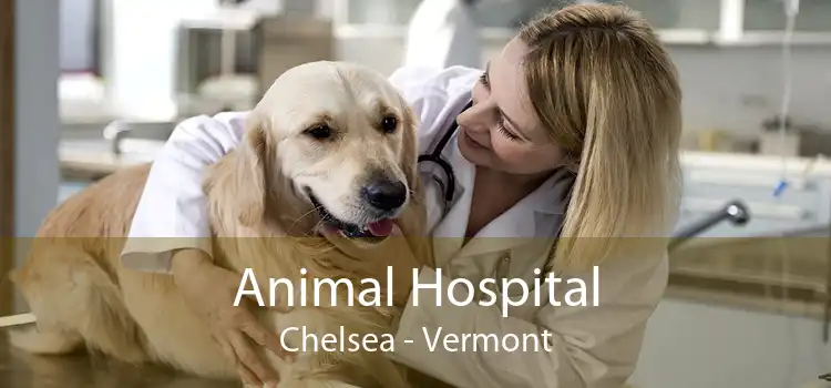 Animal Hospital Chelsea - Vermont