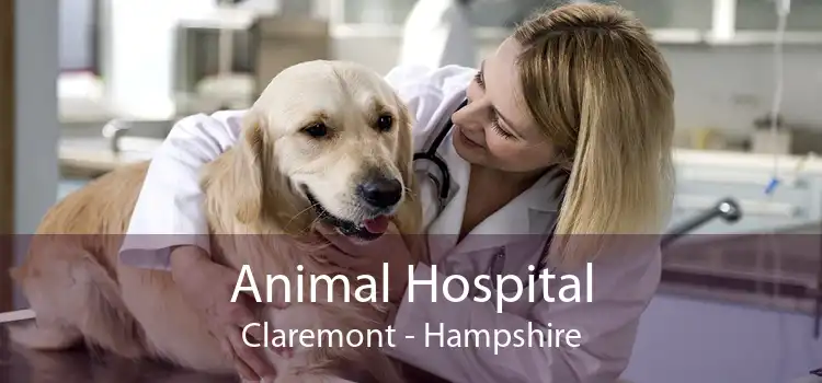 Animal Hospital Claremont - Hampshire