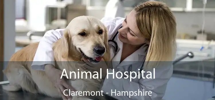 Animal Hospital Claremont - Hampshire