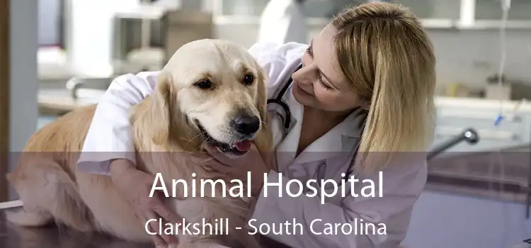 Animal Hospital Clarkshill - South Carolina