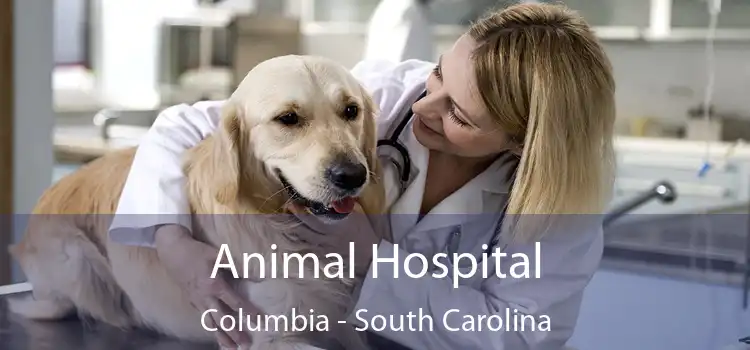 Animal Hospital Columbia - South Carolina