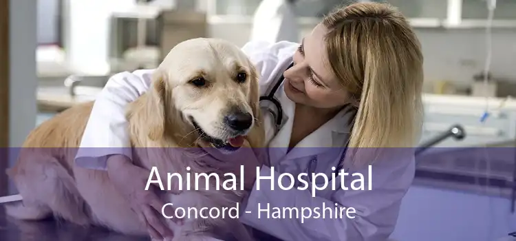 Animal Hospital Concord - Hampshire