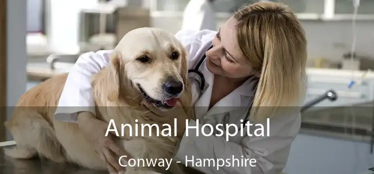 Animal Hospital Conway - Hampshire