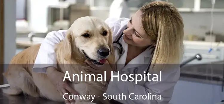 Animal Hospital Conway - South Carolina