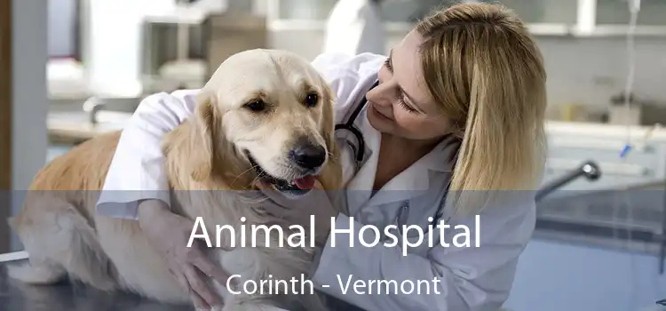 Animal Hospital Corinth - Vermont