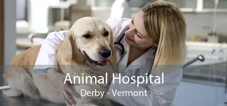 Animal Hospital Derby - Vermont