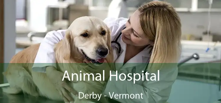 Animal Hospital Derby - Vermont