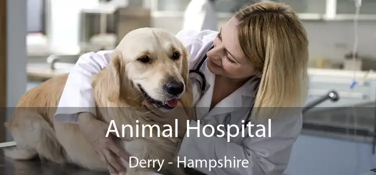 Animal Hospital Derry - Hampshire