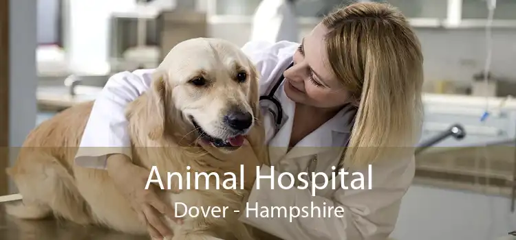 Animal Hospital Dover - Hampshire
