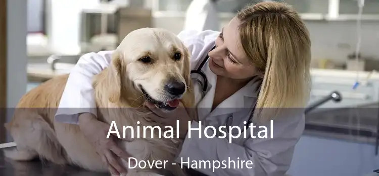 Animal Hospital Dover - Hampshire