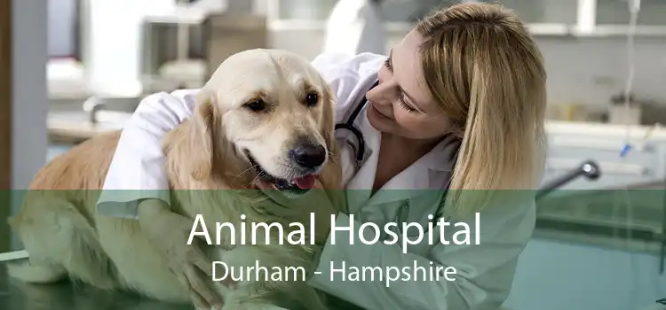 Animal Hospital Durham - Hampshire