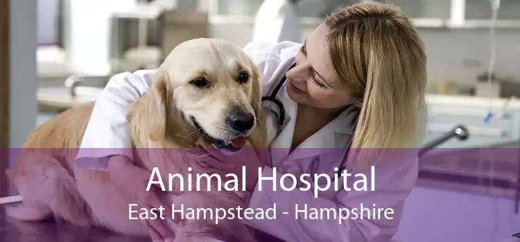 Animal Hospital East Hampstead - Hampshire