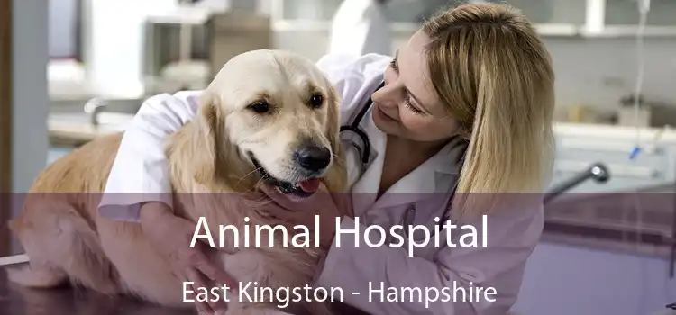 Animal Hospital East Kingston - Hampshire