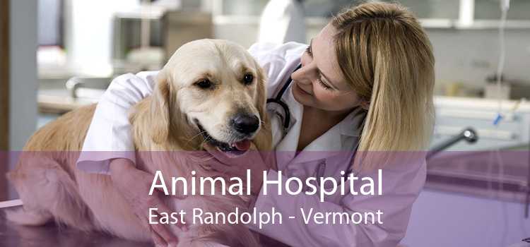 Animal Hospital East Randolph - Vermont