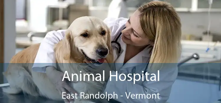 Animal Hospital East Randolph - Vermont