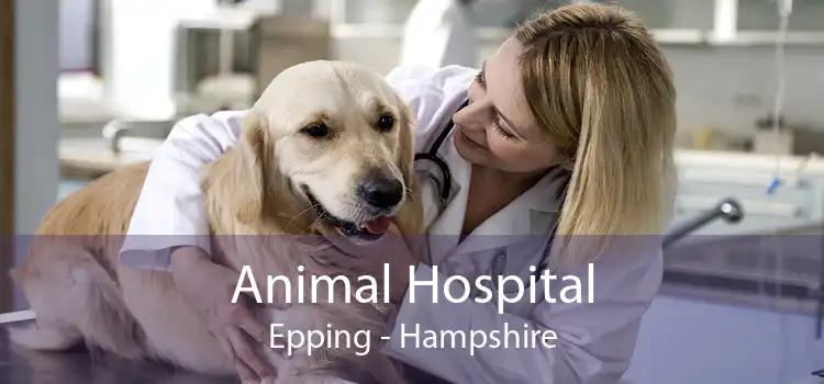 Animal Hospital Epping - Hampshire