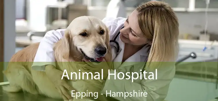 Animal Hospital Epping - Hampshire