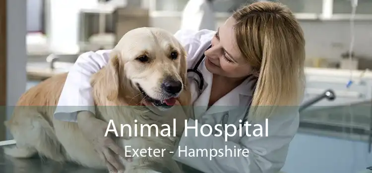 Animal Hospital Exeter - Hampshire