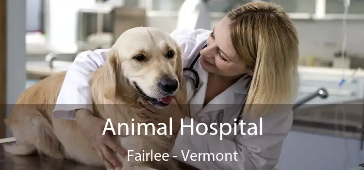 Animal Hospital Fairlee - Vermont