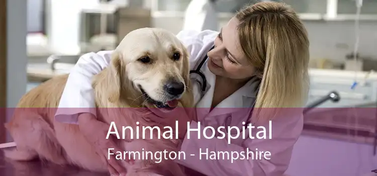 Animal Hospital Farmington - Hampshire