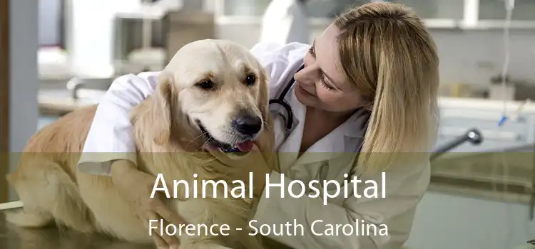 Animal Hospital Florence - South Carolina