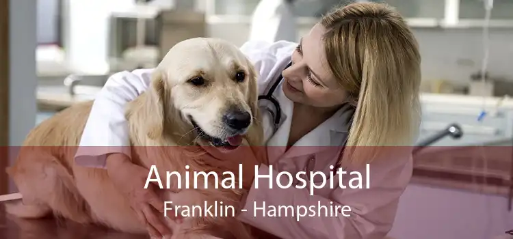 Animal Hospital Franklin - Hampshire