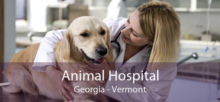 Animal Hospital Georgia - Vermont
