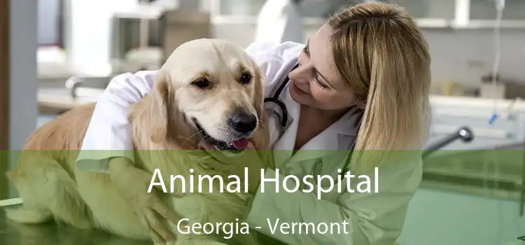 Animal Hospital Georgia - Vermont